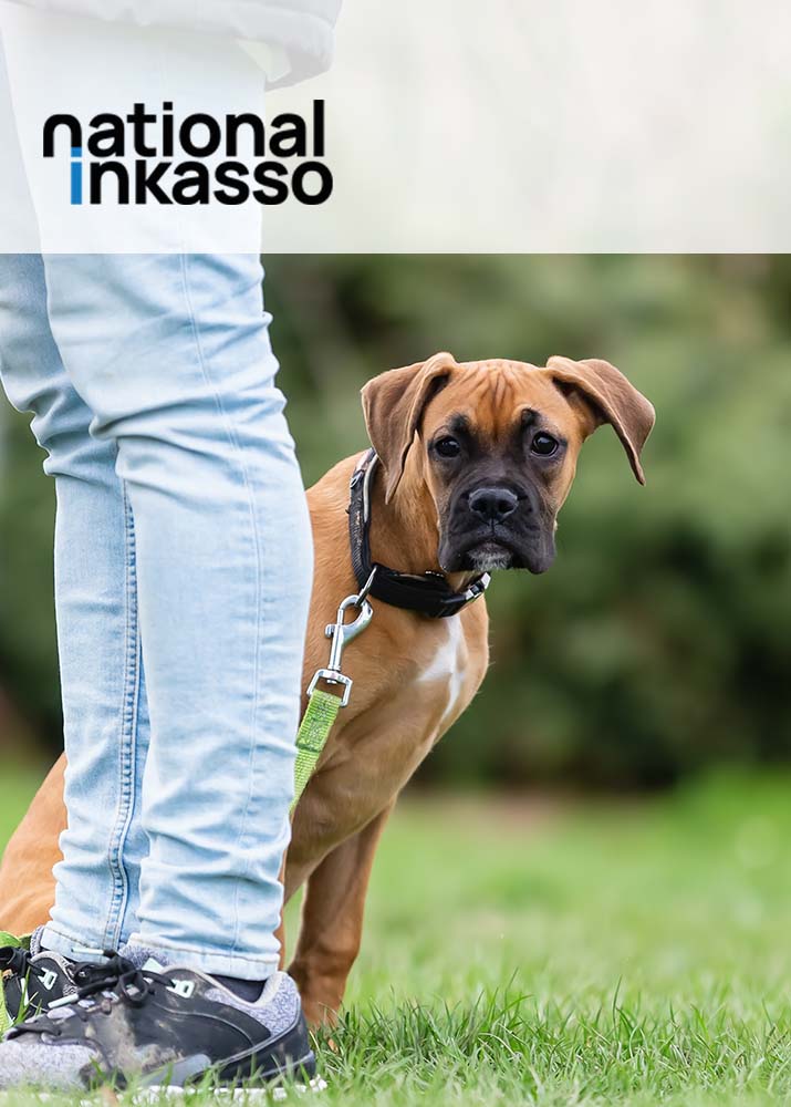 Inkasso Hundeschulen