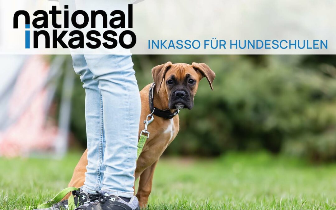 Inkasso für Hundeschulen