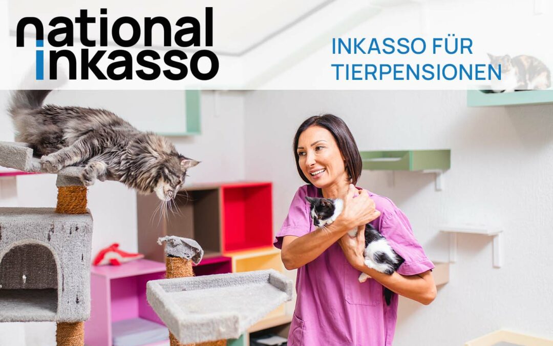 Inkasso für Tierpensionen