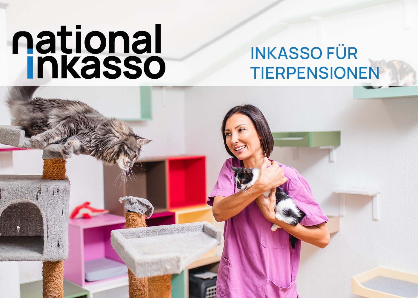 Inkasso für Tierpensionen